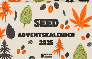 Seed Adventskalender 2025 - Hanf Adventskalender