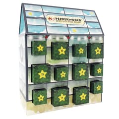 Bio Saatgut Adventskalender Tomate