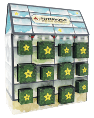 PEPPERWORLD Tomate BIO Adventskalender 2024