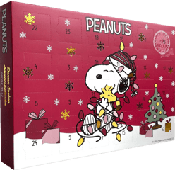 Sockswear Peanuts Adventskalender