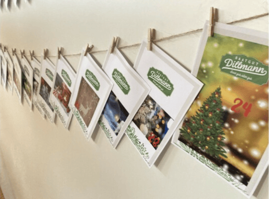 Avocadostore Dillmann Saatgut Adventskalender