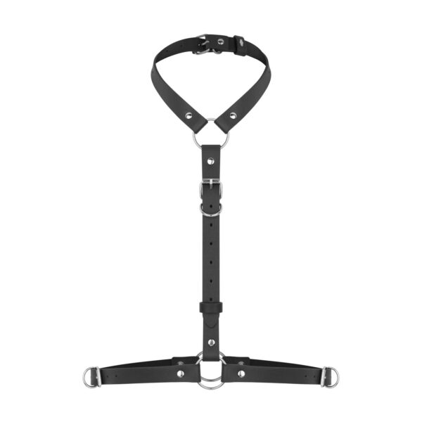 Harness