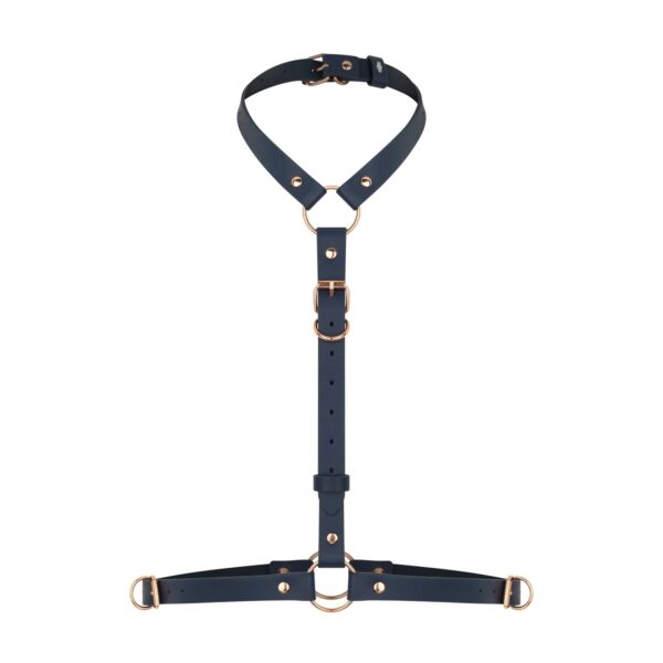 Harness