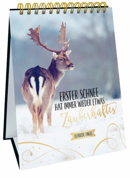 24 zauberhafte Wintertage