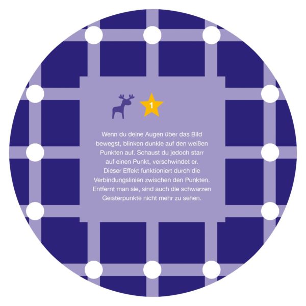Inhalt Adventskalender 24 Optische Illusionen 2016