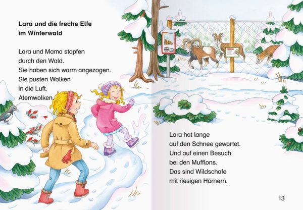 Adventskalender für Erstleser 2020 Inhalt