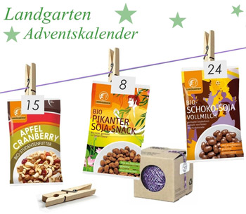 Adventskalender selber basteln 2017