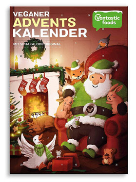 Vantastic-Adventskalender-2018