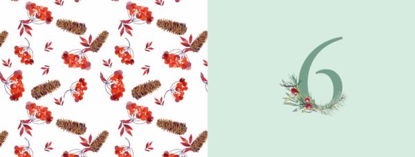 Ayurveda Adventskalender 2020 Inhalt