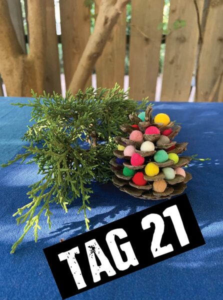 Inhalt Bild 4