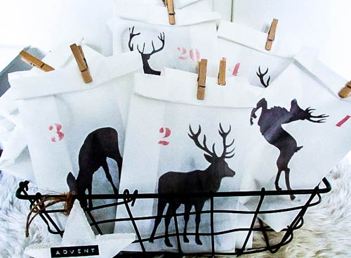 Die besten Adventskalender für Hunde, Katzen und Kleintiere
