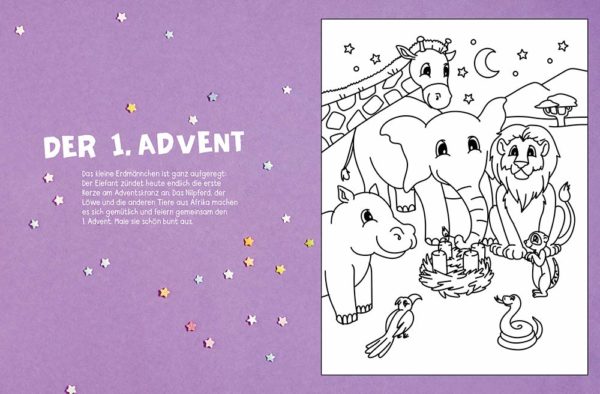 Buch Adventskalender 2020 Inhalt