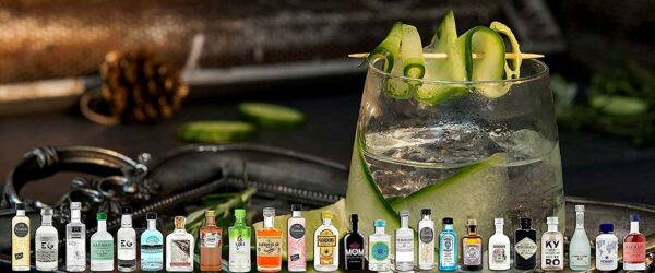 Gin Verkostungs-Adventskalender, Bild 1