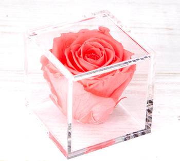 Inhalt Grace Flowerbox Adventskalender 2020
