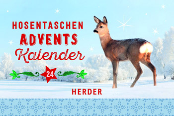 Hosentaschenadventskalender-2018