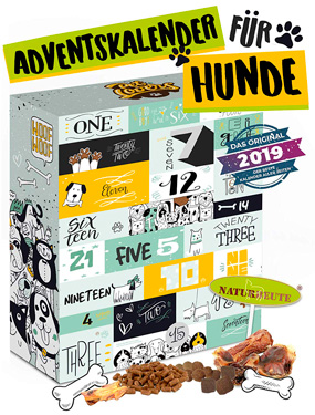 Hunde Adventskalender 2019