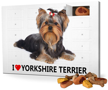 I-Love-Yorkshire-Terrier-Adventskalender-für-Hunde-2017