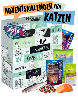 Katzen Adventskalender 2019