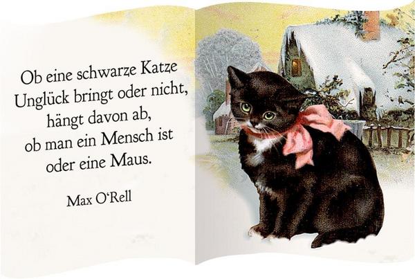 Katzen im Advent Adventskalender 2020 Inhalt