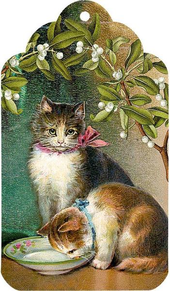 Katzen im Advent Adventskalender 2020 Inhalt