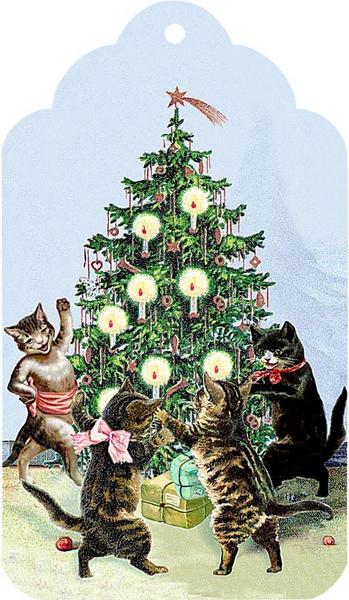 Katzen im Advent Adventskalender 2020 Inhalt