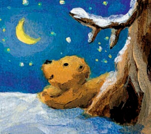 Wandkalender - Der Mondbär im Weihnachtshimmel Inhalt Bild 1