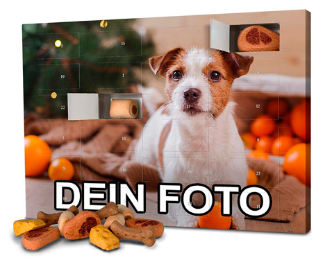 Photo-Fancy-Hunde-Adventskalender-2019
