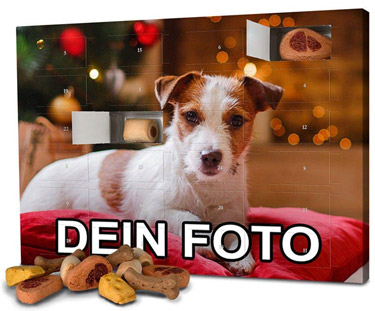 Photo-Fancy-Hunde-Adventskalender-2018