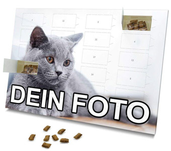 Photo-Fancy-Katzen-Adventskalender-2018