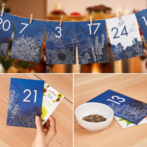 Saatgut Adventskalender 2020 Inhalt