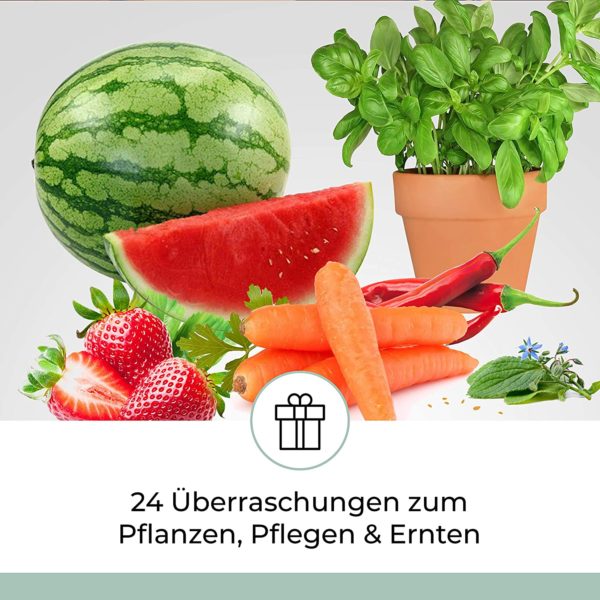 Saatgut Adventskalender 2020 Inhalt