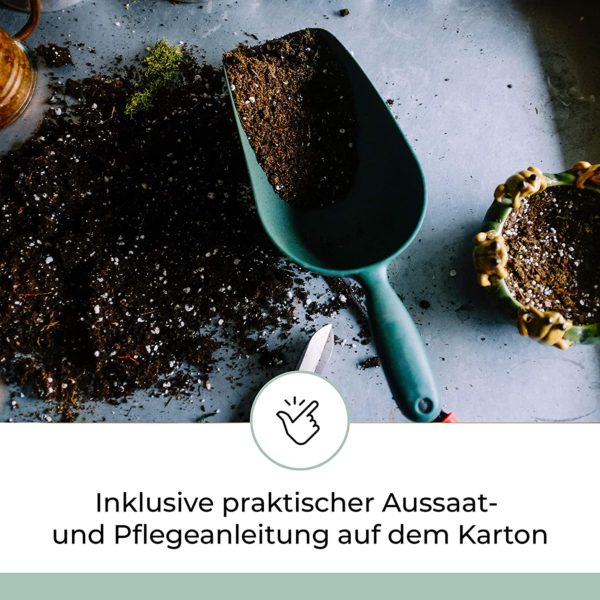 Saatgut Adventskalender 2020 Inhalt