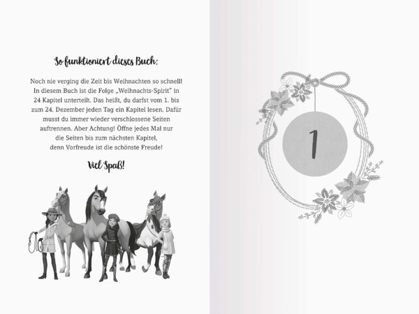 Spirit Adventskalender 2020 Inhalt