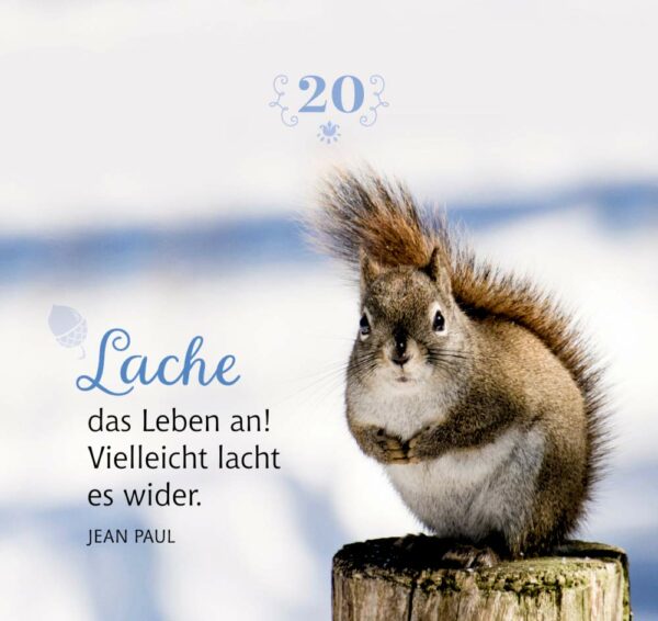 Inhalt Bild 2