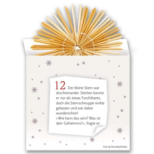 Strohstern Adventskalender 2020 Inhalt