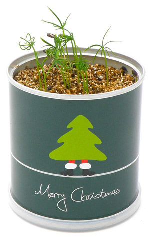 Dosenbaum