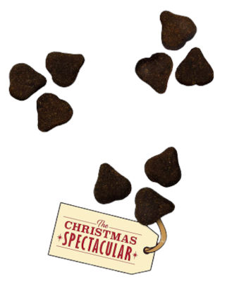 Inhalt Lilys Kitchen Katzen Adventskalendar