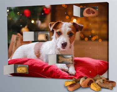 Printplanet Hunde Kalender