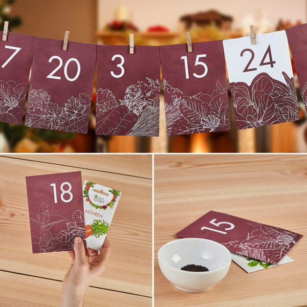 Samen Adventskalender OwnGrown 2020