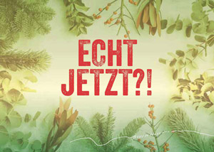 Wernauer Kalender 2019 Vibes