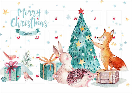 Xucker Adventskalender Edel-Vollmilchschokolade